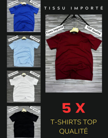 Lot de 5 X T-shirts Coton Col Rond - Top Qualité REF0153
